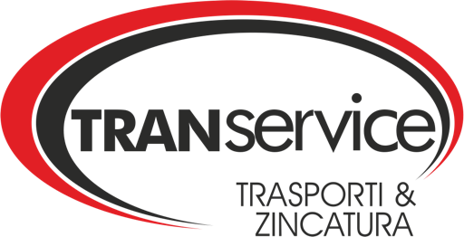Transervice Logo